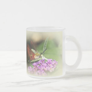 Tasse Givré Élimination de la teigne du faucon - Hémaris thysb