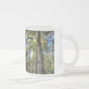 Tasse Givré Eucalyptus gommiers de la forêt pluviale australie