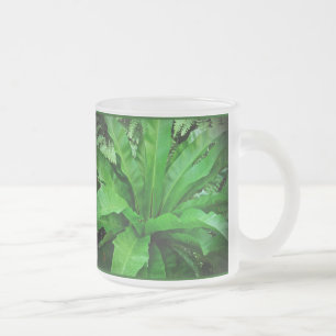Tasse Givré Ferne de nid d'oiseaux