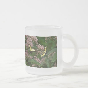 Tasse Givré Papillons à queue de tigre sur Joe Pye Weed