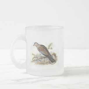 Tasse Givré Pigeon Colombe Streptopelia Peinture Nature Oiseau