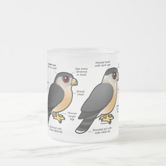 Tasse Givré Sharpie de la cage v (Centre)