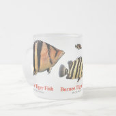 Tasse Givré Siamese Tiger fish (Devant gauche)