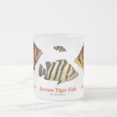 Tasse Givré Siamese Tiger fish (Centre)