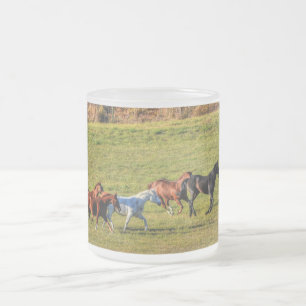 Tasse Givré Troupeau de chevaux de Ranch Equine Photo 2