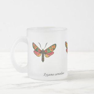 Tasse Givré Zygaena carniolica - La teigne de Burnet Crepuscul