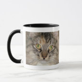 Tasse grise de chat tigré (Gauche)