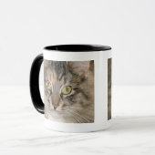 Tasse grise de chat tigré (Devant gauche)