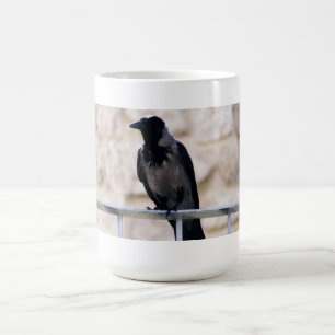 Tasse grise de corneille
