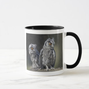 Tasse Hiboux Bébés