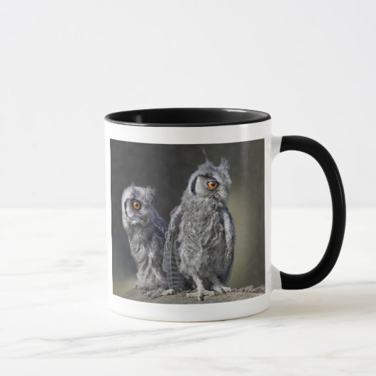 Tasse Hiboux Bébés (Droite)