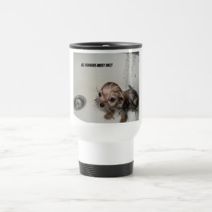 Tasse humide de Yorkie