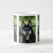 Tasse Husky (Devant)