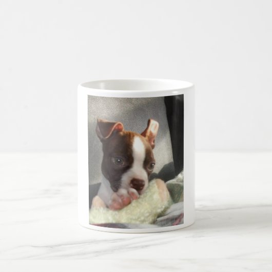 Tasse II de kiwi (Centre)