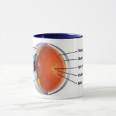 tasse II d'oeil (Centre)