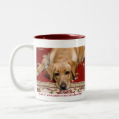 Tasse jaune de laboratoire (Gauche)