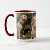 Tasse jaune de laboratoire (Gauche)