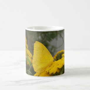 Tasse jaune de papillon