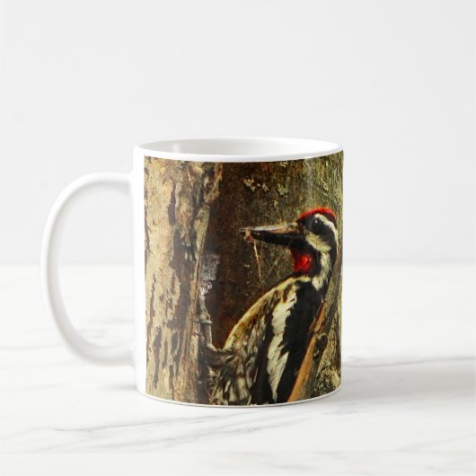 tasse Jaune-gonflée de Sapsucker (Gauche)