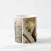 Tasse Kangourou Endormi (Centre)