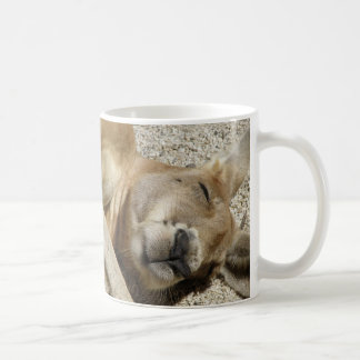 Tasse Kangourou Endormi