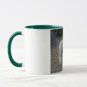 tasse lagotto-romagnolo (Gauche)