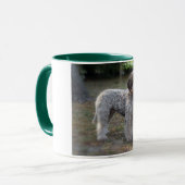 tasse lagotto-romagnolo (Devant gauche)