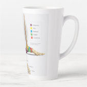Tasse Latte Anatomie des os de pieds (Droite)