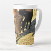 Tasse Latte Bison dans le Colorado (Angle droit)