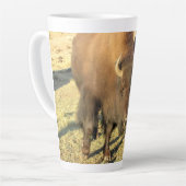 Tasse Latte Bison dans le Colorado (Angle gauche)