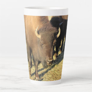 Tasse Latte Bison dans le Colorado