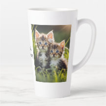 "Bonjour" Kitten
