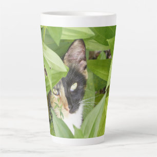 Tasse Latte Calico Cat dans les Zinnias