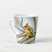 Tasse Latte Cèdre - Photographie originale (Angle gauche)