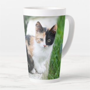 Tasse Latte Chat Fantôme de l'Opéra