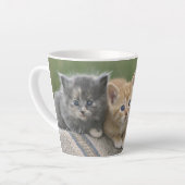 Tasse Latte Chatons de grange sur une couverture de cheval (Angle gauche)