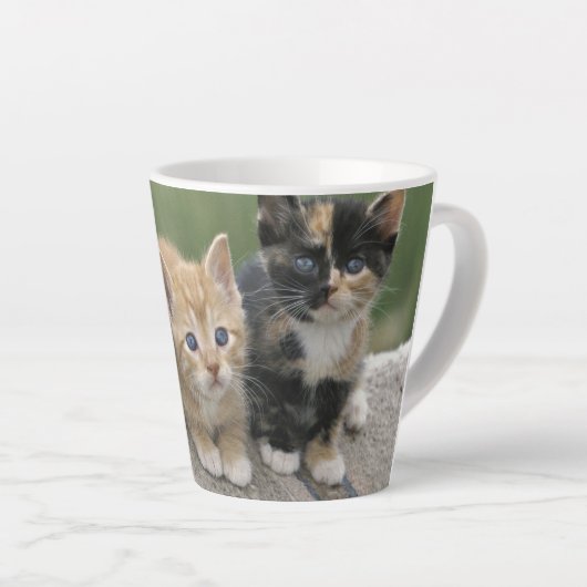 Tasse Latte Chatons de grange sur une couverture de cheval (Angle droit)