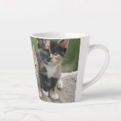 Tasse Latte Chatons de grange sur une couverture de cheval (Droite)