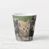 Tasse Latte Chatons de grange sur une couverture de cheval (Devant)