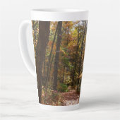 Tasse Latte Chute Sunlit dans le parc national de Laurel Hill (Angle gauche)