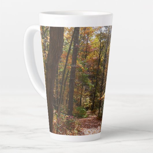 Tasse Latte Chute Sunlit dans le parc national de Laurel Hill (Angle gauche)