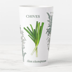 Tasse Latte Ciboulette — Allium schoenoprasum