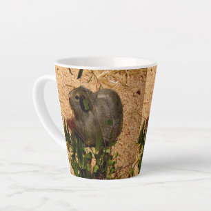 Tasse Latte Cochon de Guinée Brown, en douceur,