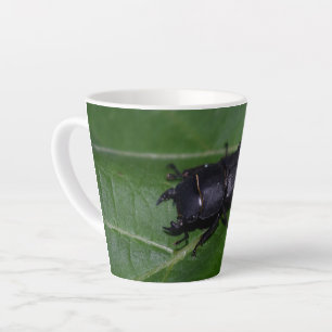 Tasse Latte Dorcus parallelipipedus, le moindre dendroctone du