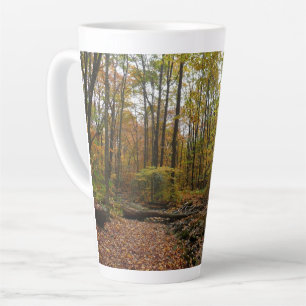 Tasse Latte Fall Creek à Laurel Hill State Park Pennsylvanie