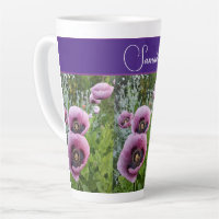 Fleurs de pavot rose pourpre Pavot Pavois Fleur fl