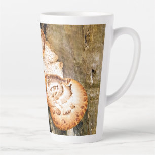 TASSE LATTE FUNGI