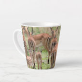 Tasse Latte Impala dans le delta de l'Okavango (Angle gauche)