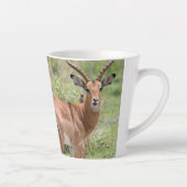 Tasse Latte Impala dans le delta de l'Okavango (Droite)