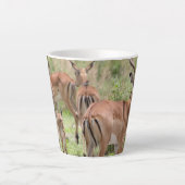 Tasse Latte Impala dans le delta de l'Okavango (Devant)